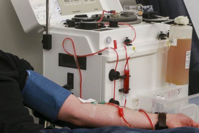 Цена на плазмаферез